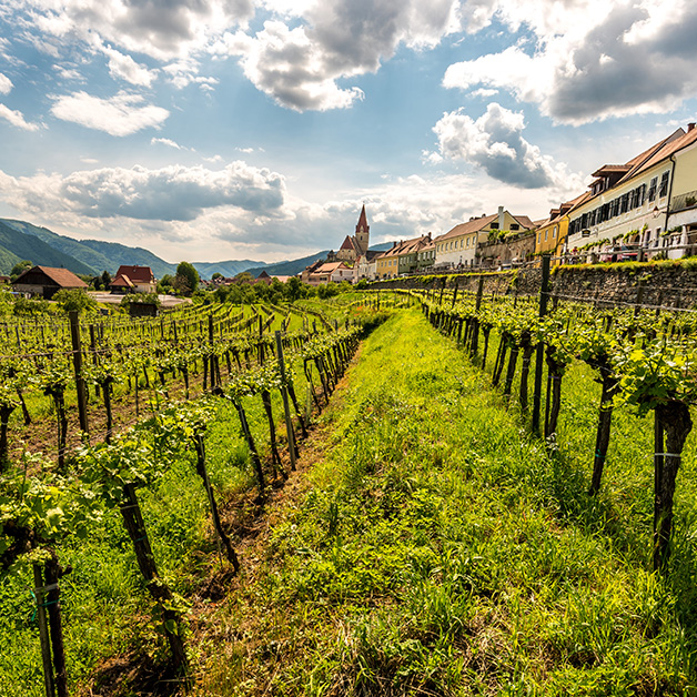 Dürnstein & Melk